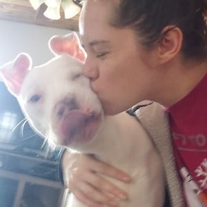 Meet your Posher, Candice